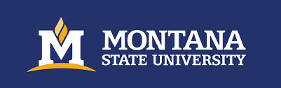 montana-state-university