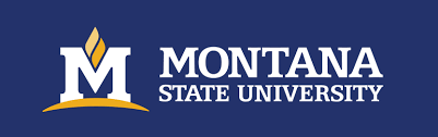 Montana State University jobs