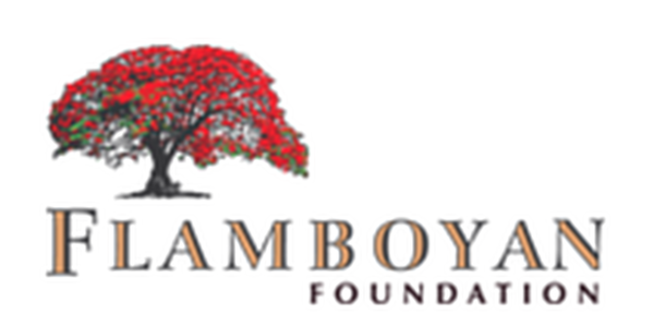 Flamboyan Foundation jobs