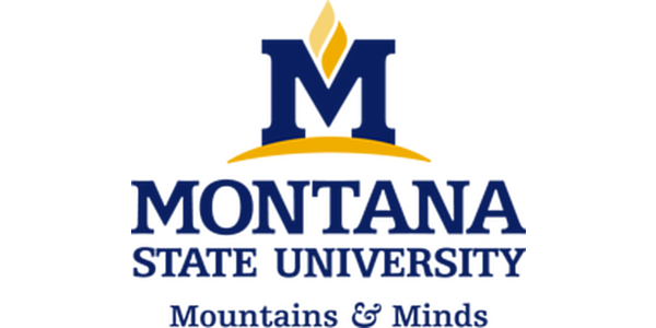 Montana State University jobs